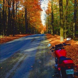 Meet your Posher, Conor